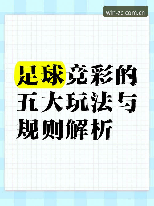 足彩网电脑版 足彩网电脑版如何重新定义竞彩投注的